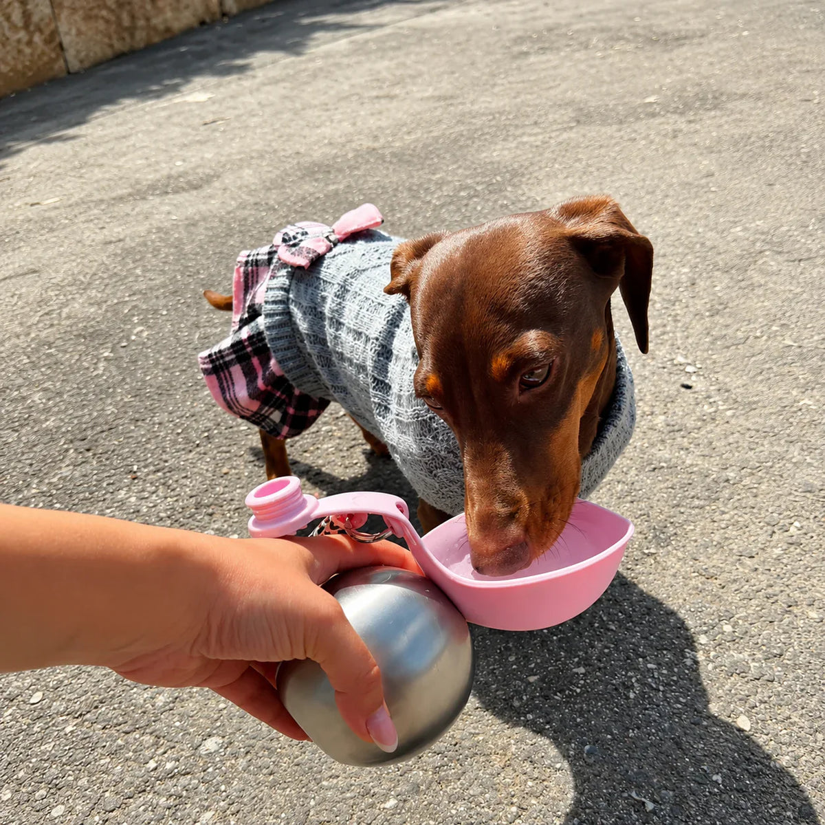 Made for every walk you take together