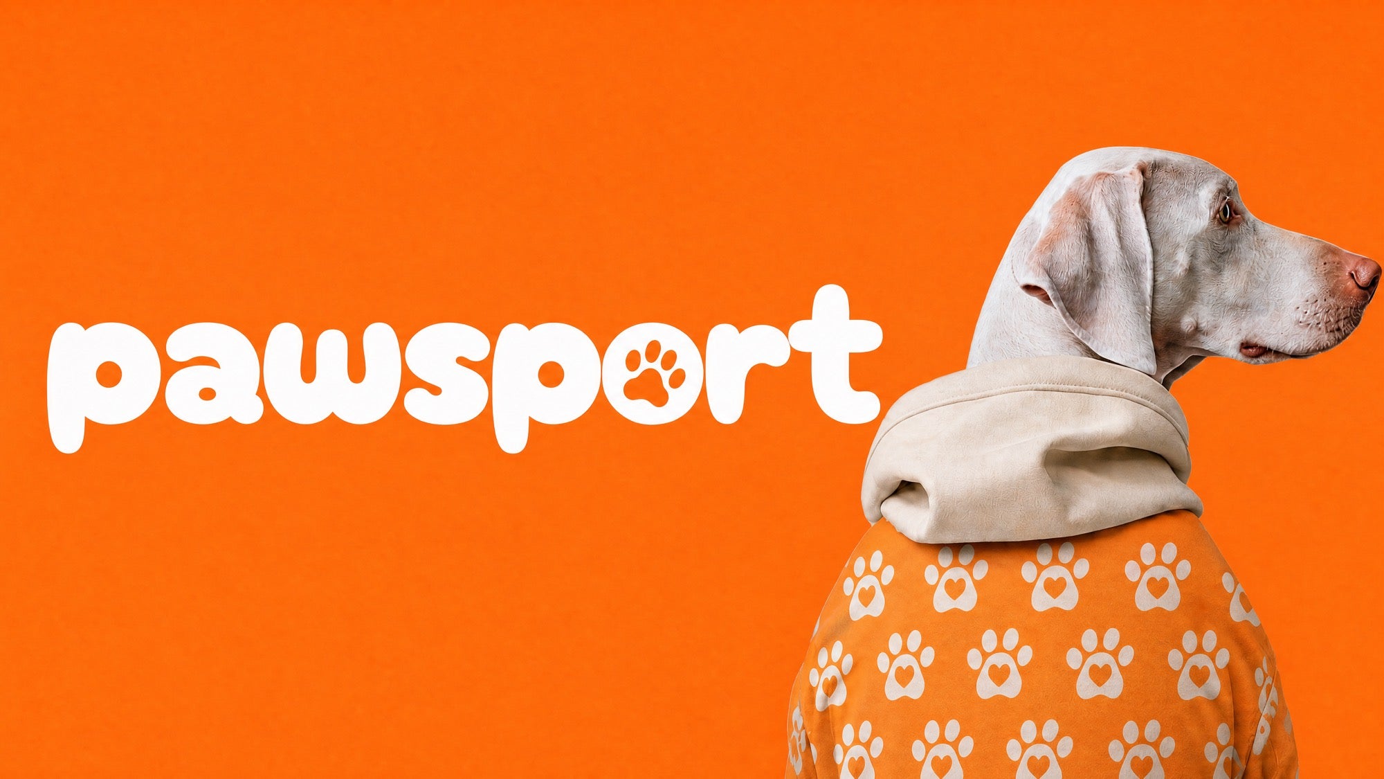 Pawsport — dog gear for life on the move